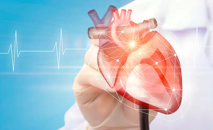 RCP Anatomia del corazón, como realizar rcp, que es rcp